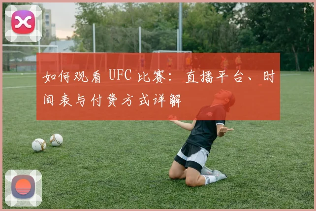如何观看 UFC 比赛：直播平台、时间表与付费方式详解