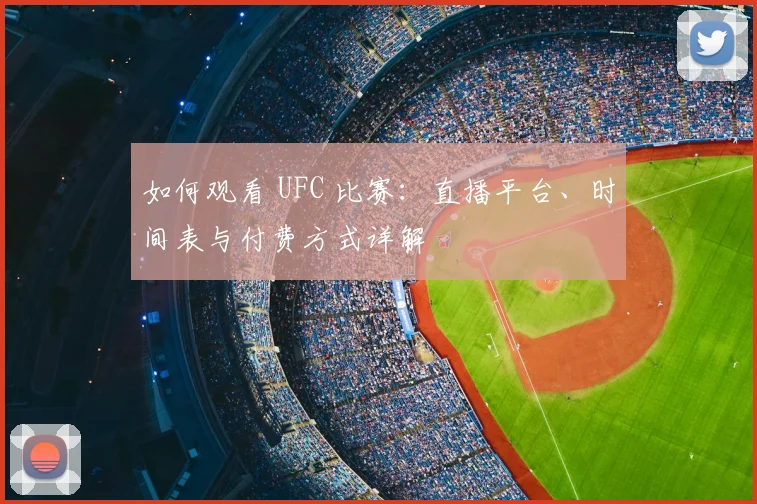 如何观看 UFC 比赛:直播平台、时间表与付费方式详解