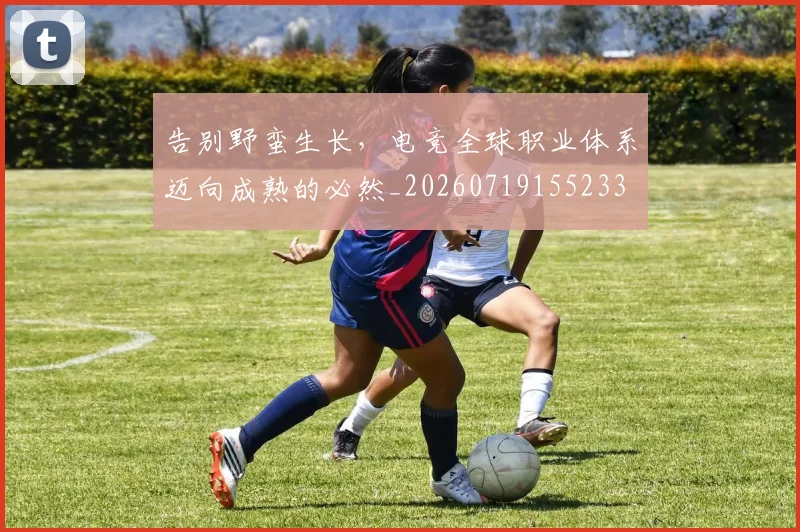 告别野蛮生长,电竞全球职业体系迈向成熟的必然_20260719155233